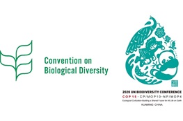 WCS News Statement: UN Biodiversity Summit CoP15 Update